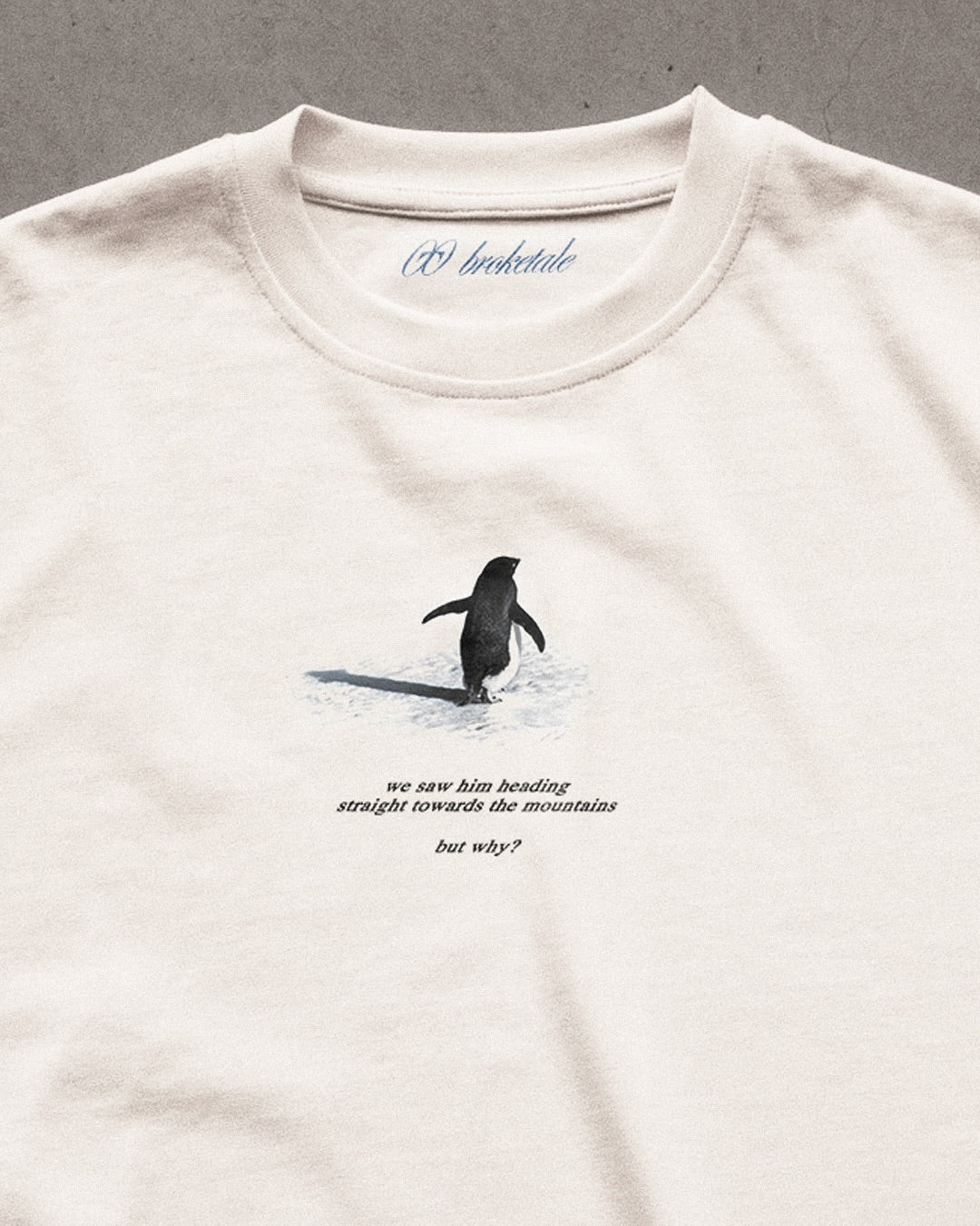 Be the Damn Penguin – Viral Oversized Aesthetic T-Shirt
