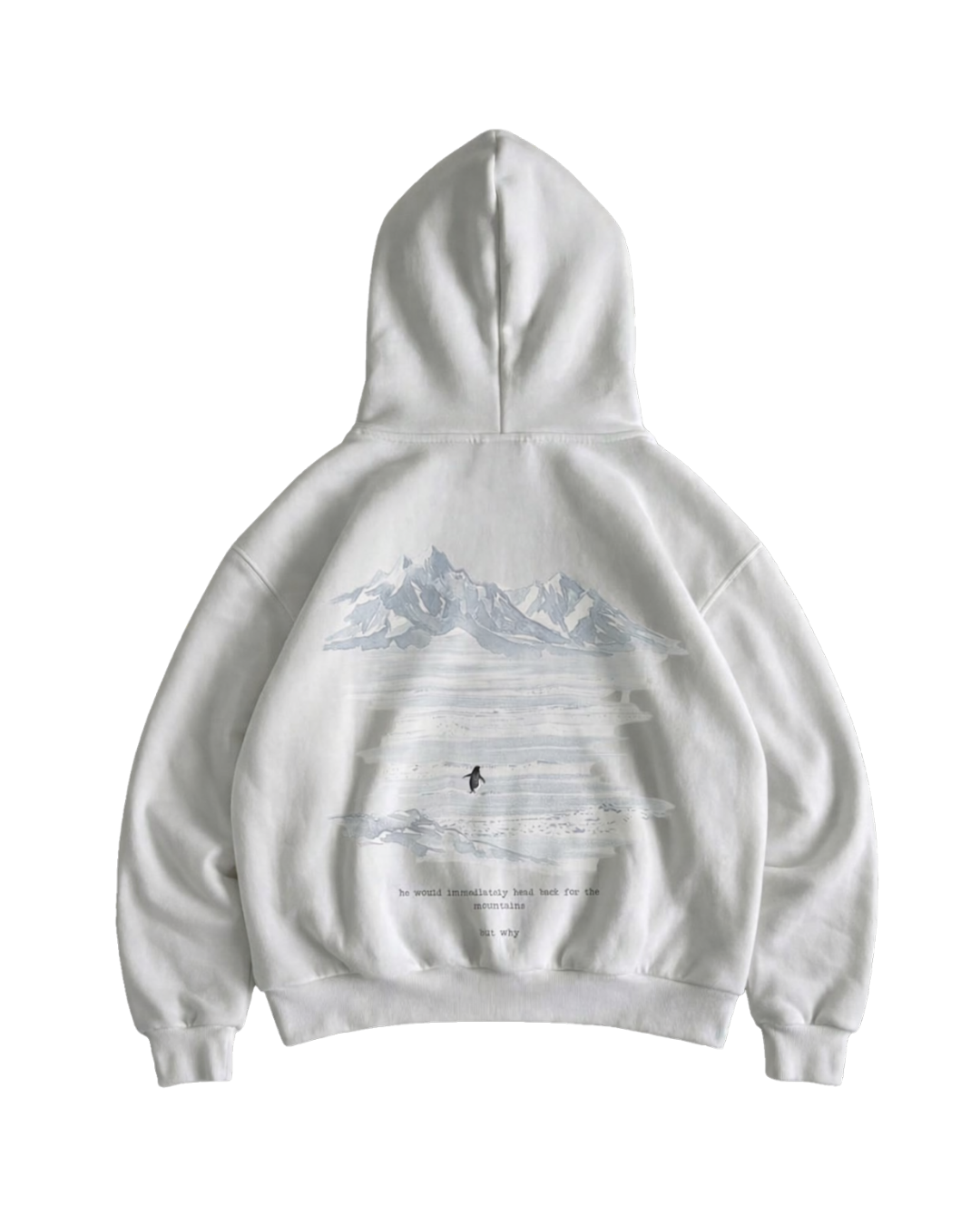 But why – Nihilist Penguin Oversized Hoodie