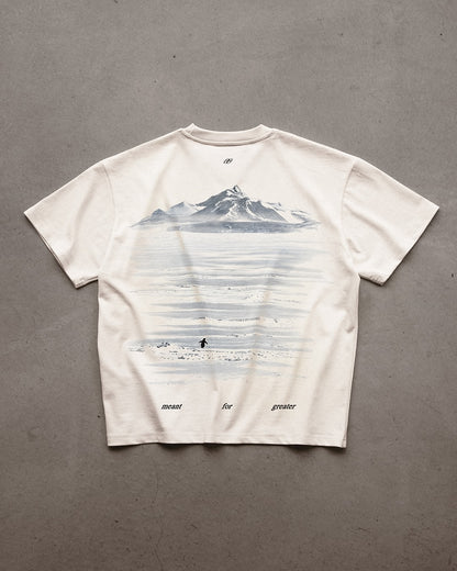 Be the Damn Penguin – Viral Oversized Aesthetic T-Shirt